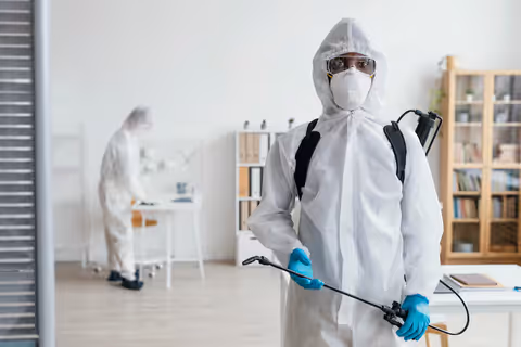 Affordable Eco-Friendly Pest Control: Safe and Natural Solutions for Your Home